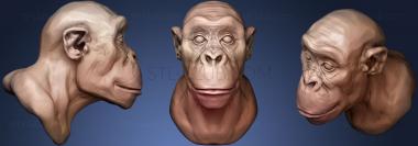 3D model Chimpanzee (STL)